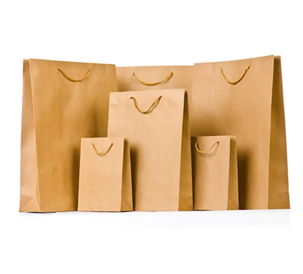 Les sacs en papier personnalisés haut de gamme imprimés sont-ils l'avenir de l'emballage écologique?