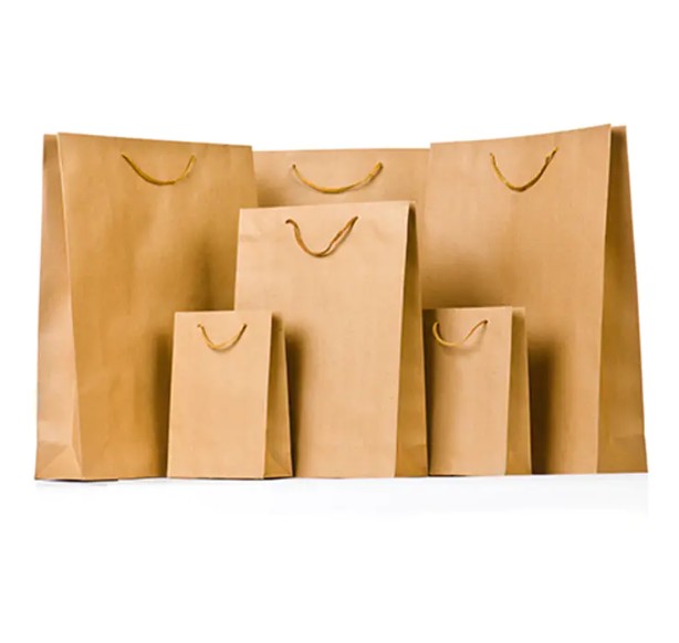 Les sacs en papier personnalisés haut de gamme imprimés pourraient-ils révolutionner l'image de votre marque?